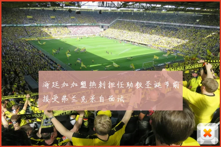 海廷加加盟热刺担任助教圣诞节前接受弗兰克亲自面试